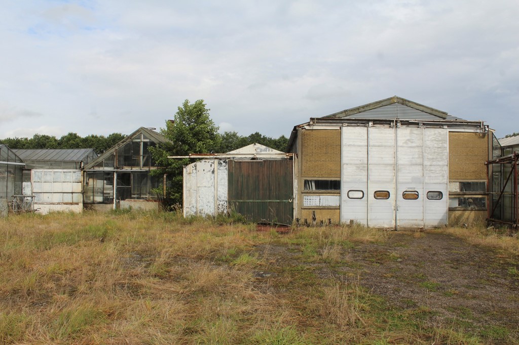 Kas Sappemeer foto 4.JPG